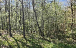 Sunnybrook Dr, Baton Rouge, LA 70814