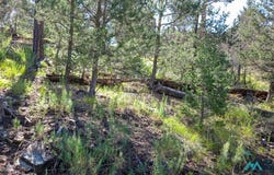 213 Snow Park Rd, Alto, NM 88312
