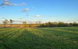 2007 Walnut Grove Road, Carlisle, KY 40311