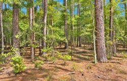 TBD (23) Manfred Road, Norman, AR 71960
