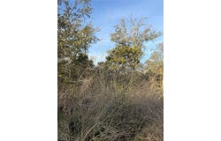156 Helemano Dr, Bastrop, TX 78602