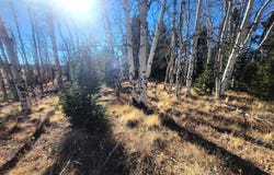 8802 Ranch Road, Hartsel, CO 80449