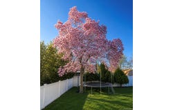 14 Evans Avenue, Albertson, NY 11507