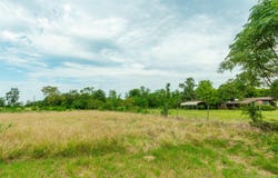 2450 Red Maple Rd, Big Sandy, TX 75755