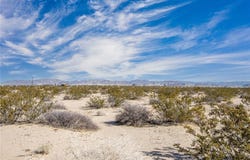 Friendship Road, 29 Palms, CA 92277