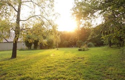 3627 County Road 542, Ava, MO 65608