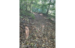 389 Shady Pine Lane, Newcomb, TN 37819