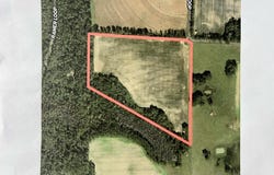31.5+-ac Rammer Loop Rd, Cottonwood, AL 36301
