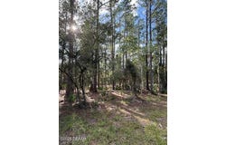 207 Ocala Court, Georgetown, FL 32139