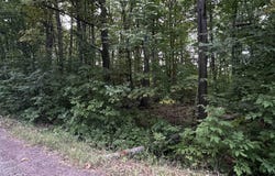 On Thunderbird Lane, Wakefield, MI 49968