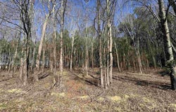 CR 4310 & 4313, Pittsburg, TX 75686