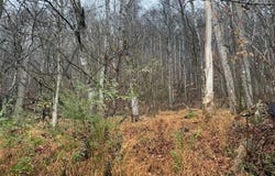 Fork River Road, Abingdon, VA 24210