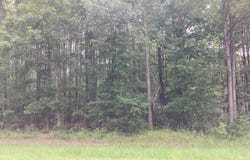 33 Pine Crest Road, Bath, NC 27808