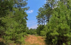 Landis Road, Winnsboro, SC 29180