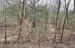 Giles Road, Hardy, AR 72542