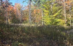 107 Morse Road, Norway, ME 04268