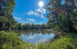 Co Rd 881, Jones, AL 36749