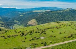 Brotnov Rd., Clearwater, ID 83552