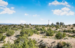 31720 E 96th Street, Littlerock, CA 93543