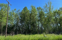 Cross Park Road, Hinckley, MN 55037