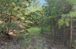 Wolf Pen Road lot: 24, Purlear, NC 28665