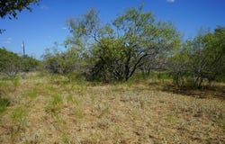 TBD 1 CR 236A, Milano, TX 76556