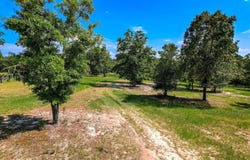 Parcel 5 Lewis Lane, Aiken, SC 29803