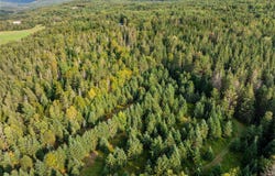 Harrys Way, Colebrook, NH 03576