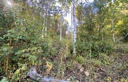 111 UPPER WHITTEMORE Dr, Springville, UT 84663