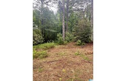 121 COUNTY ROAD 338, CHELSEA, AL 35043
