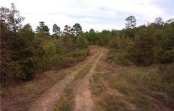 14847 Beneux Bottom RD, Mulberry, AR 72947
