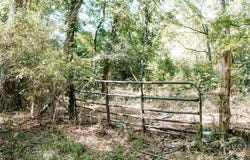 Lundburg Road, Washington, GA 30673
