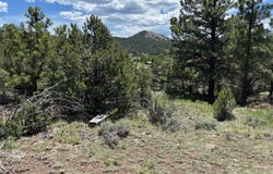 TR42 CR 329, Westcliffe, CO 81252