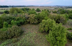 Udall Rd, Chanute, KS 66720