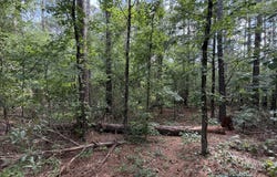 2370 Highway 138 E, Jonesboro, GA 30236