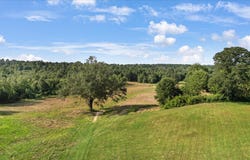 102 Private Road 3174, Gilmer, TX 75644