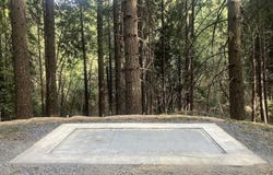 5890 Starkes Grade Rd, Pollock Pines, CA 95726