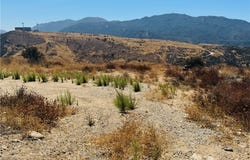 MAD, Newhall, CA 91321