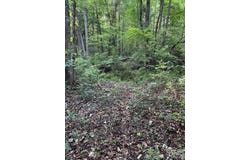 Lockhart Drive, Landrum, SC 29356