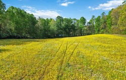 275 Sandidge Road, Eubank, KY 42567