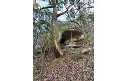 Deerhead Road 5, Dunlap, TN 37327