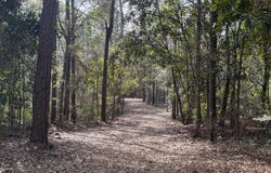 1208 De La Pointe Drive, Gautier, MS 39553