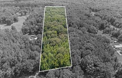 2500 Mays Road, Coldwater, MS 38618