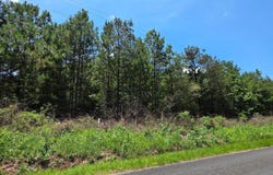 64a Chestnut Ridge Road, Mccormick, SC 29835