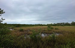 Indiana Ave, Cedar Key, FL 32625
