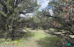 85 Largo Canyon Loop, Quemado, NM 87829