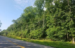HAWTHORNE, LA PLATA, MD 20646