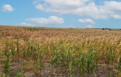 W. Union Road, Phillipsburg, KS 67661