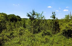 Baptist Hill Rd, Chillicothe, OH 45601