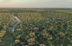 1305 FM 799, George West, TX 78022